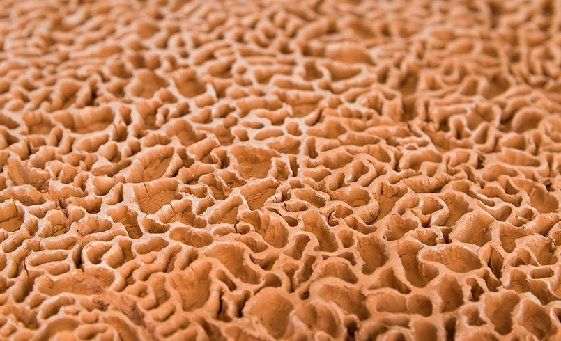 Slide background